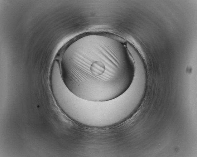 X0000096421336200802211115