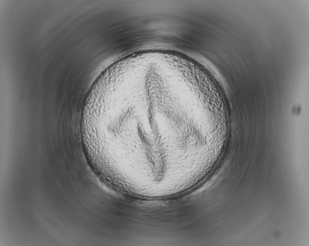 X0000096421337200802211115