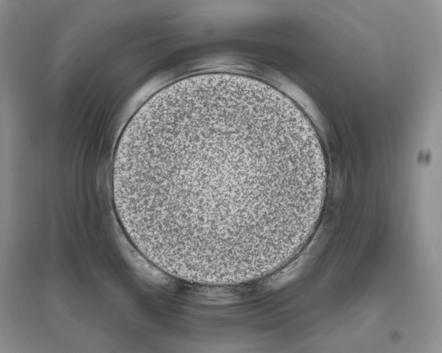 X0000096421338200802211115