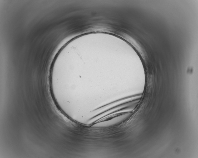 X0000096421339200802211115