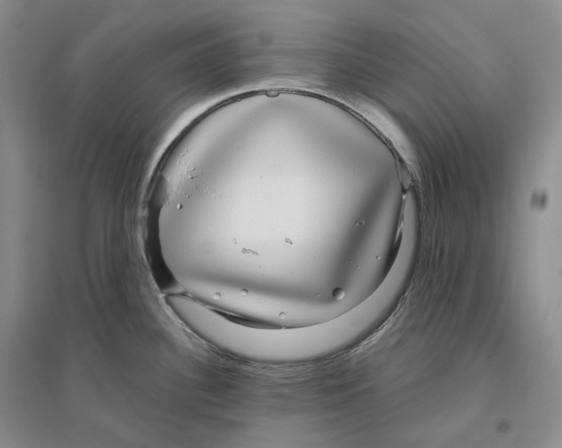 X0000096421340200802211115