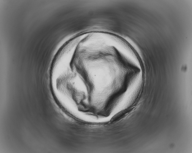 X0000096421341200802211115