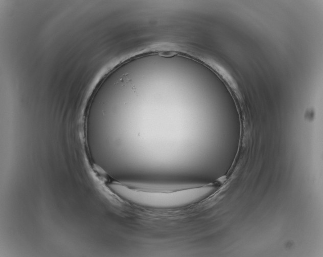 X0000096421342200802211115