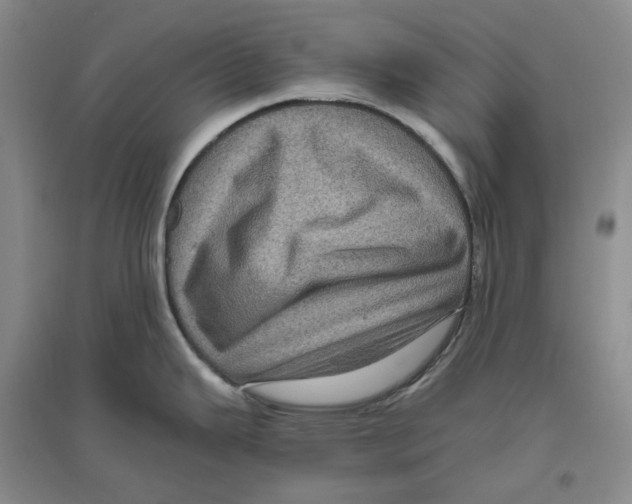 X0000096421343200802211115