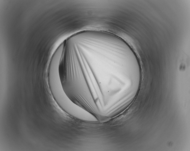 X0000096421344200802211115