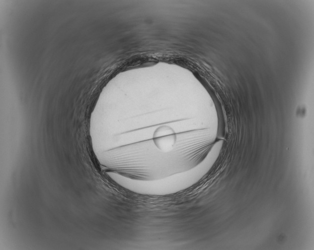 X0000096421345200802211114