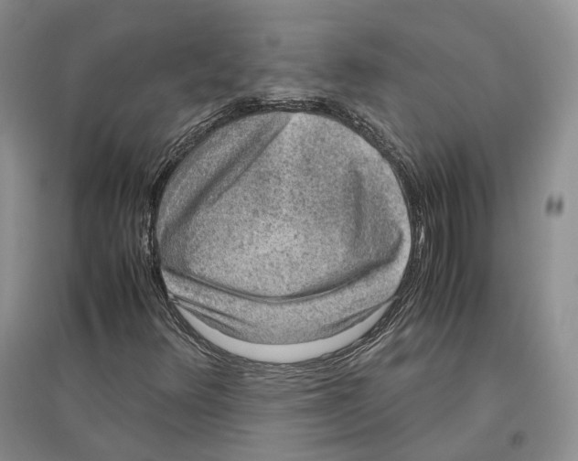 X0000096421348200802211114