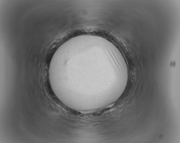 X0000096421349200802211114