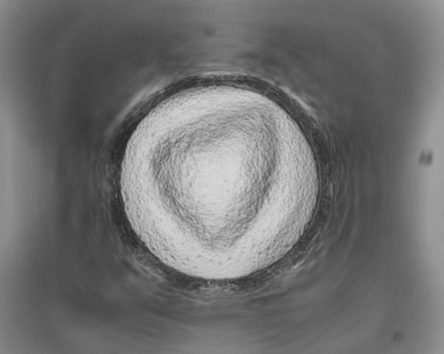 X0000096421351200802211114