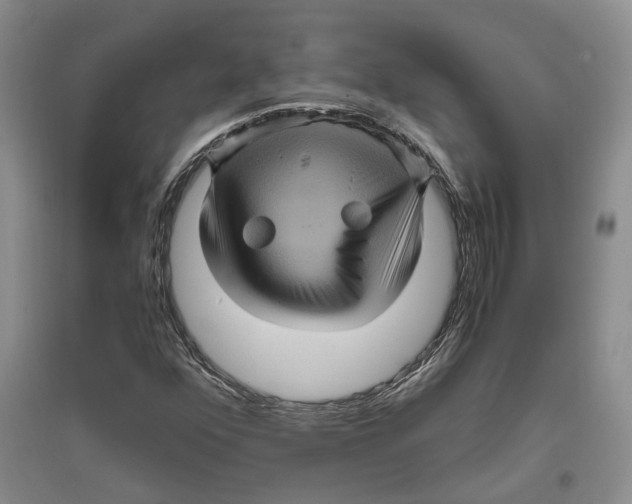 X0000096421352200802211114