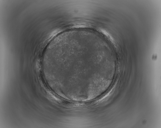X0000096421353200802211114