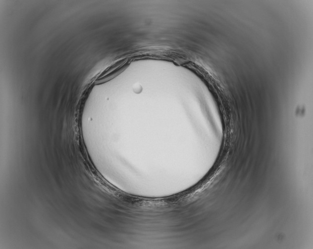 X0000096421354200802211114