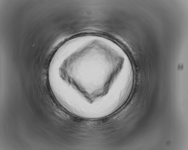X0000096421355200802211114