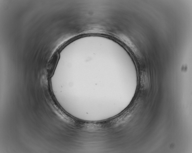 X0000096421356200802211114