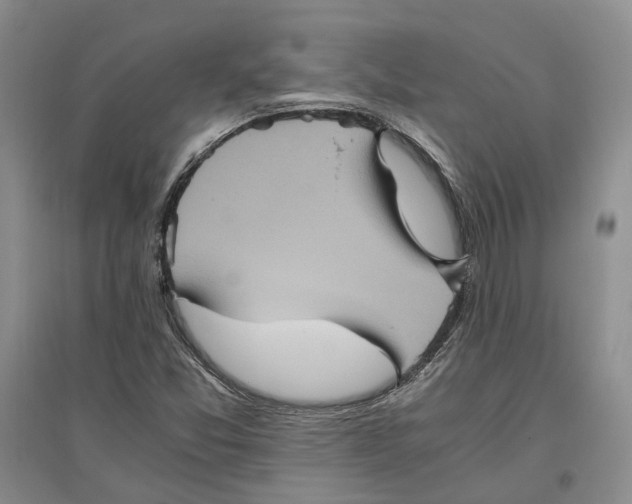 X0000096421357200802211114