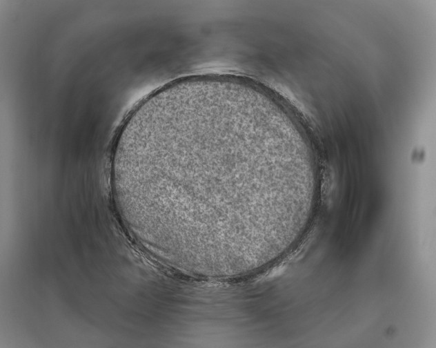 X0000096421358200802211114
