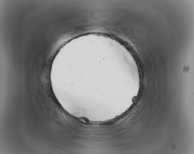 X0000096421359200802211114