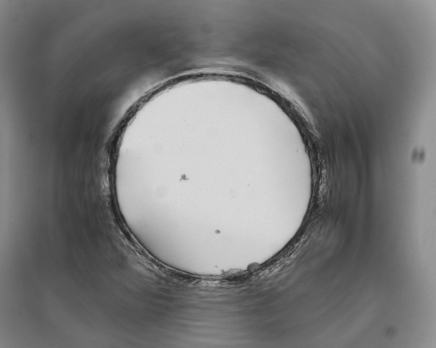X0000096421360200802211114