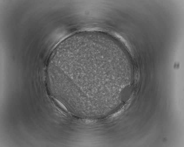 X0000096421361200802211114