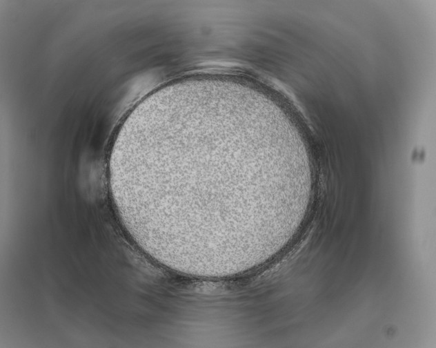 X0000096421362200802211114