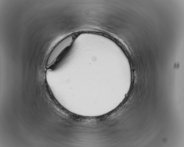 X0000096421363200802211114