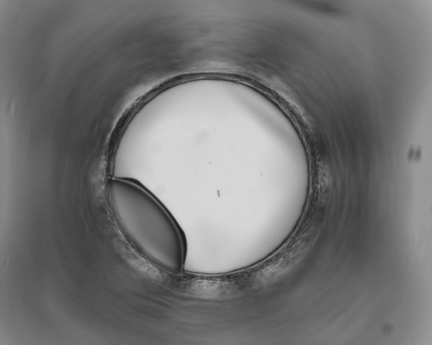 X0000096421364200802211114
