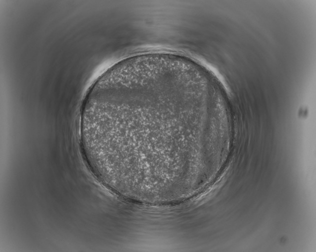 X0000096421365200802211114