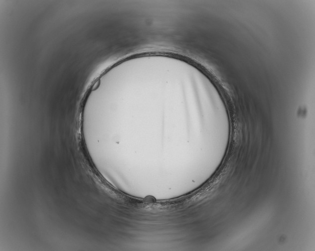 X0000096421366200802211114