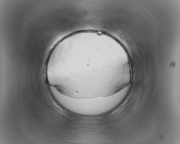 X0000096421367200802211114
