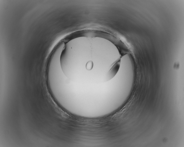 X0000096421368200802211114
