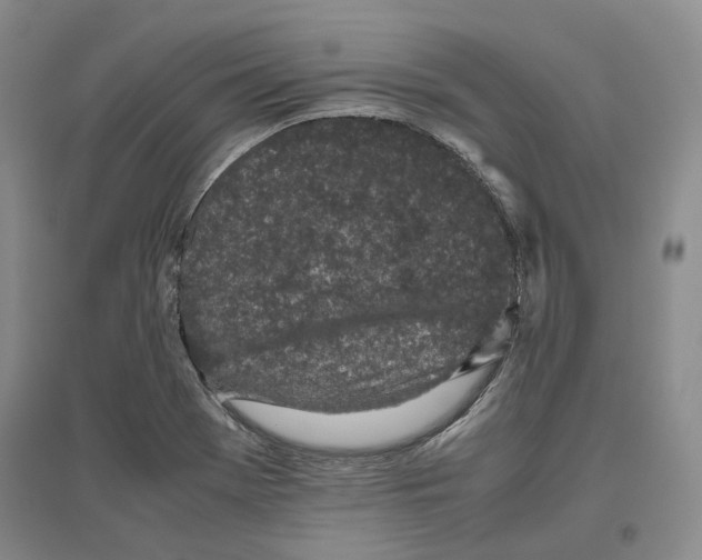 X0000096421369200802211114