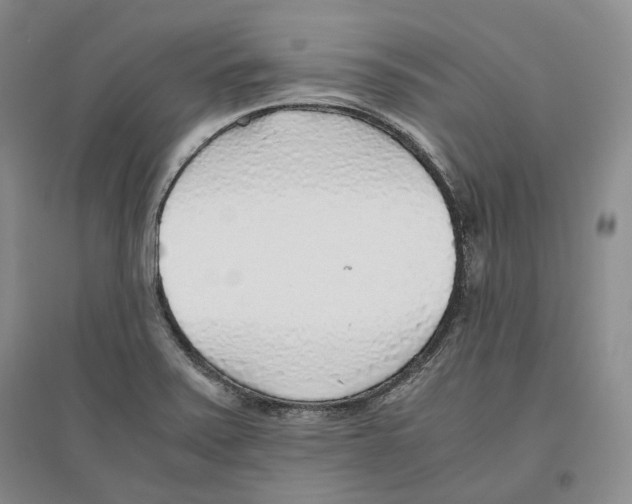 X0000096421371200802211114