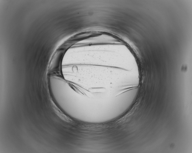 X0000096421372200802211114