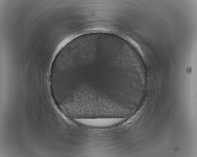 X0000096421373200802211114