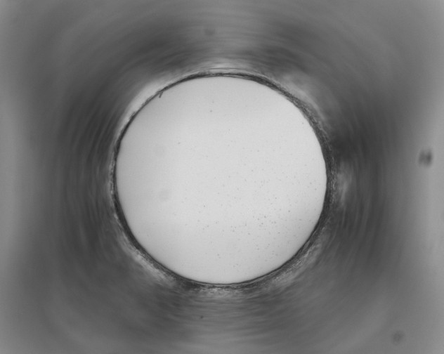 X0000096421374200802211114