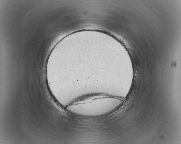 X0000096421375200802211114