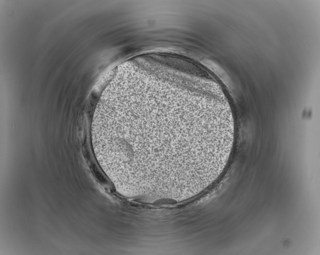 X0000096421377200802211114