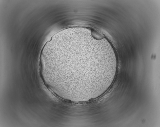X0000096421378200802211114
