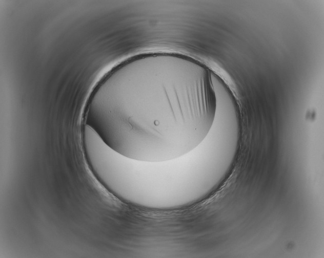 X0000096421380200802211114