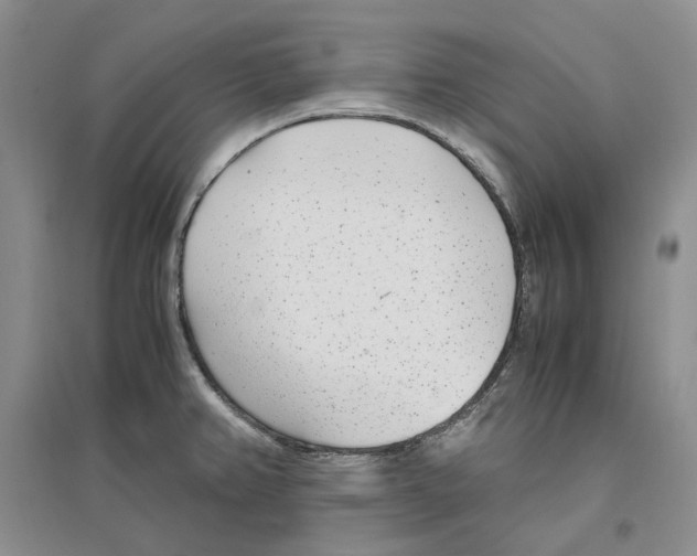 X0000096421382200802211114