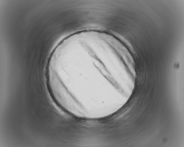 X0000096421383200802211114