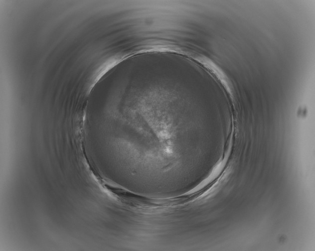 X0000096421385200802211114