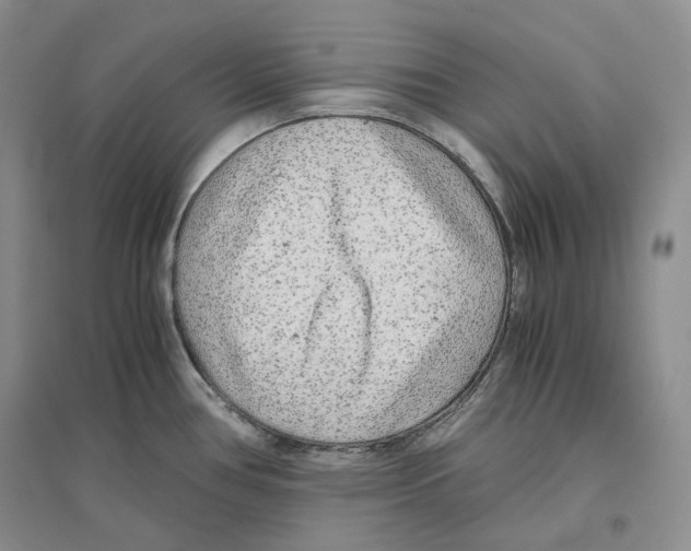 X0000096421386200802211114