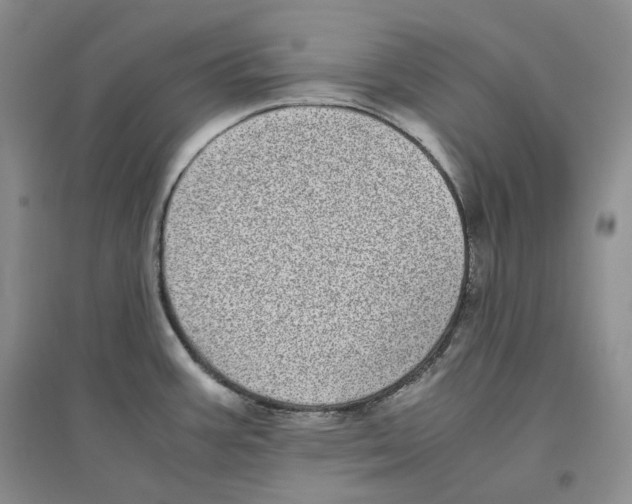 X0000096421387200802211114