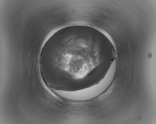 X0000096421389200802211114