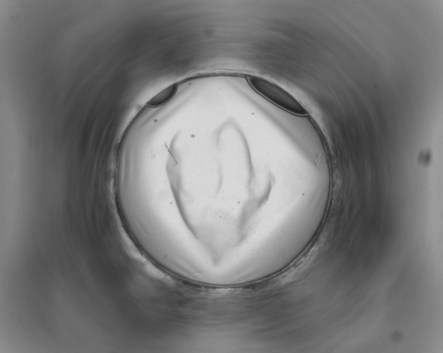 X0000096421390200802211114