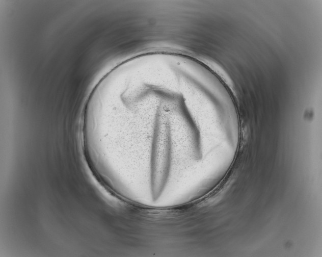 X0000096421391200802211114