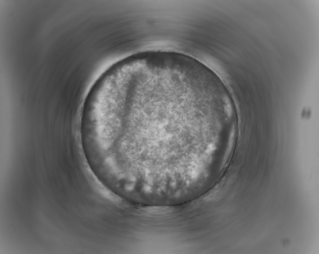 X0000096421392200802211114