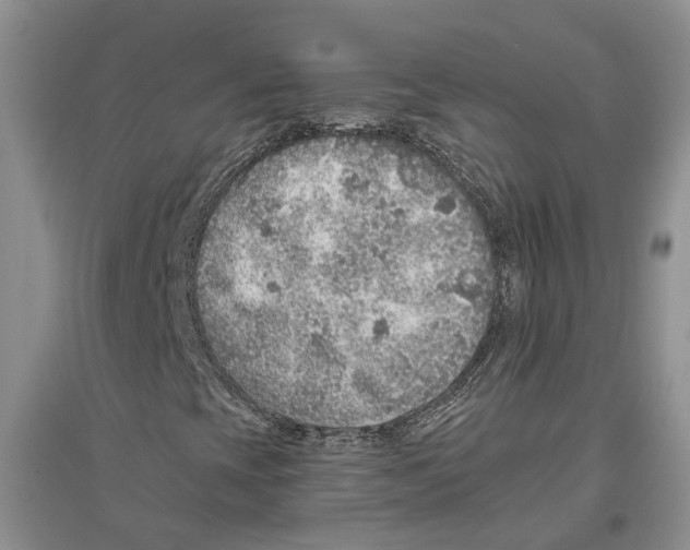 X0000096421393200802211113
