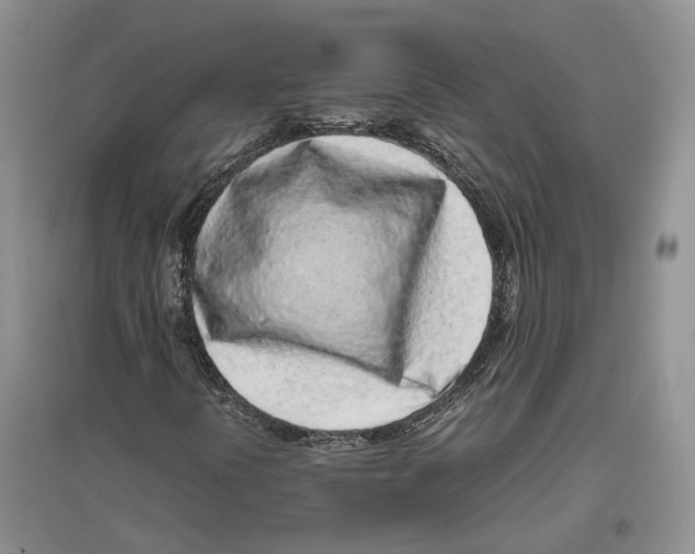 X0000096421394200802211113